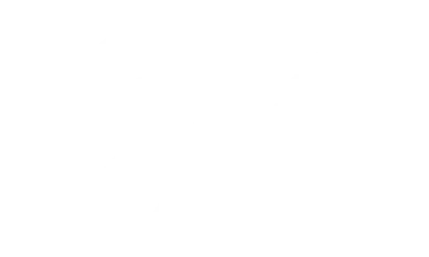 Octalas Pay