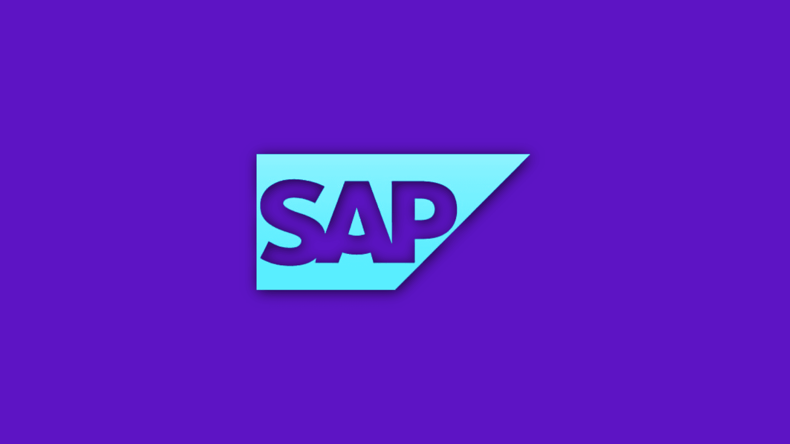 SAP Digital Payments Add-On V2